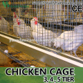 a type chicken cage with hot galvanizing